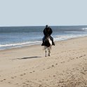 The horseman cometh